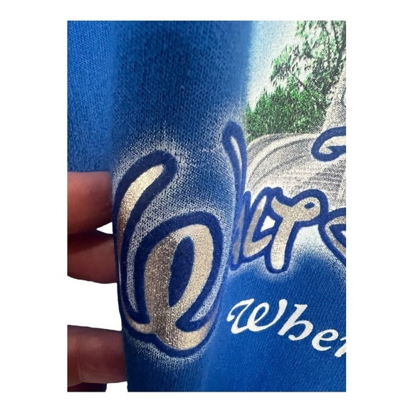 Walt Disney World Blue Hoodie jacket Mickey and friends Where Dream Come True - Picture 6 of 14